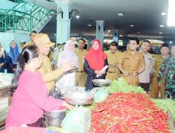 Cek Ketersediaan Bahan Pokok, Wabup Bengkalis Sidak ke Pasar Terubuk